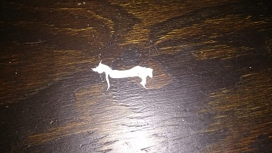 犬