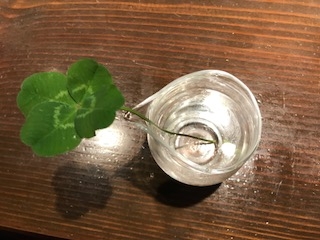 四つ葉のクローバー